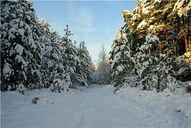 《合金装备3：重制版》全球解锁时间公布 8月28日9点爽玩！