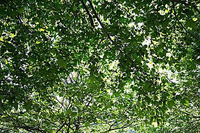 《反恐精英2》官方提醒玩家谨防诈骗信息 不存在测试密钥